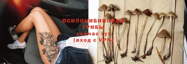 соль курить ск Алексеевка