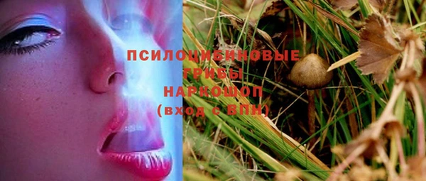 Альфа ПВП Алзамай