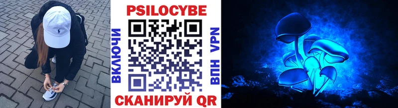 MEGA зеркало  Подольск  Галлюциногенные грибы Cubensis 
